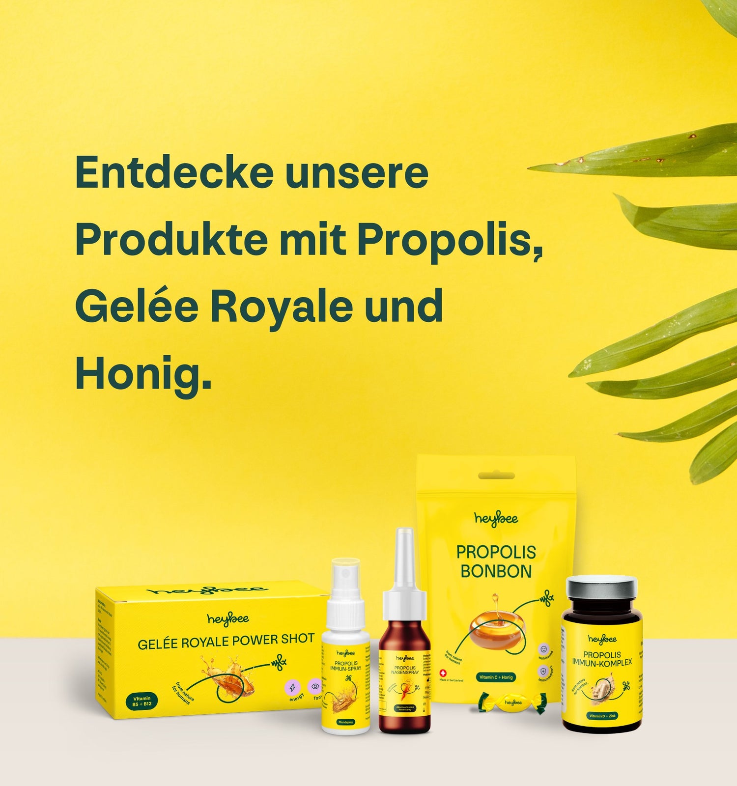 Alle Produkte - heybee