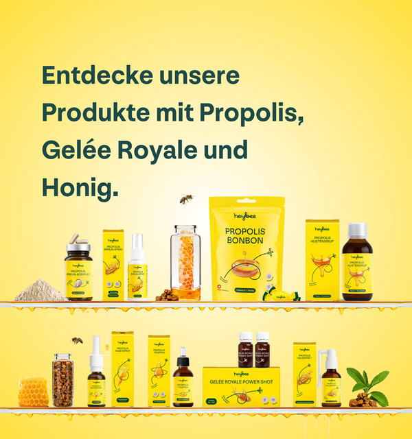Alle Produkte - heybee