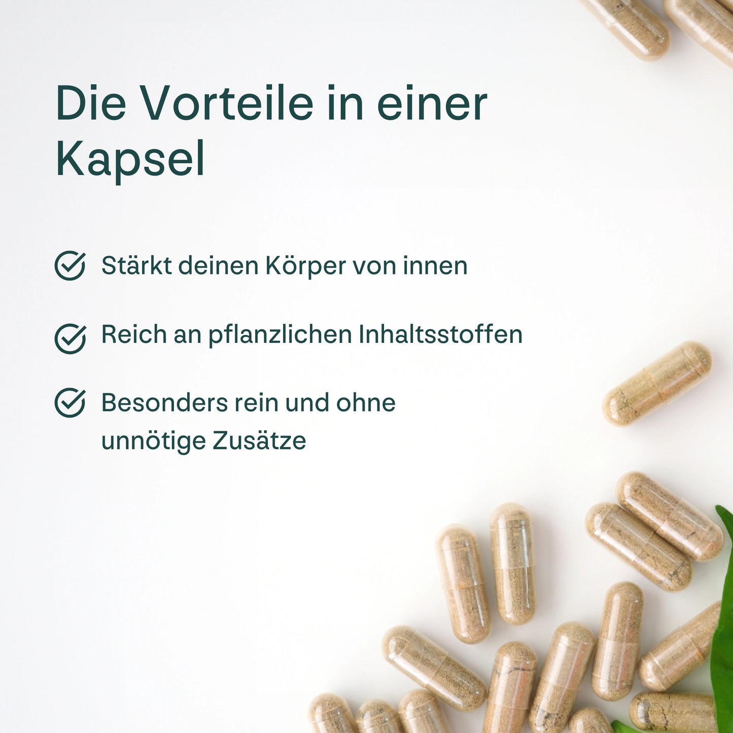 Propolis Immun-Komplex