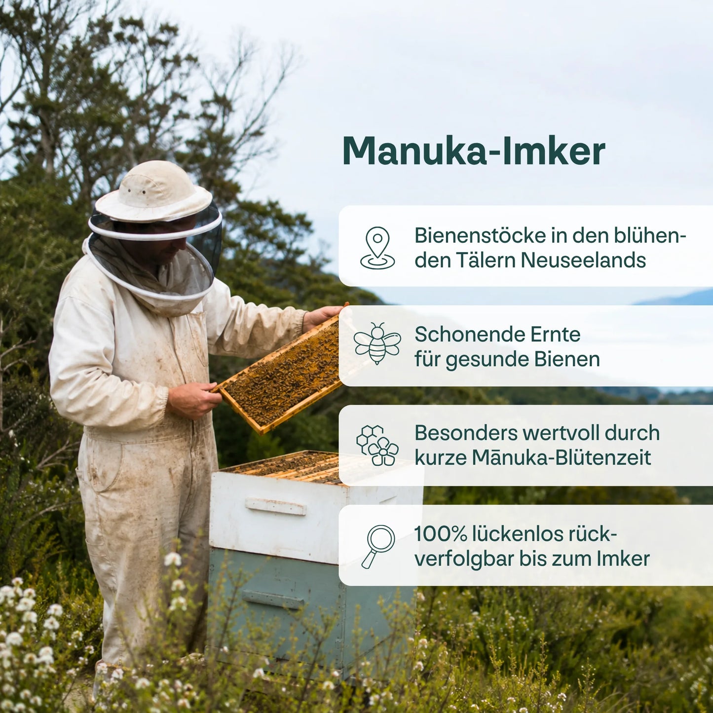 Manuka Honig MGO 550+