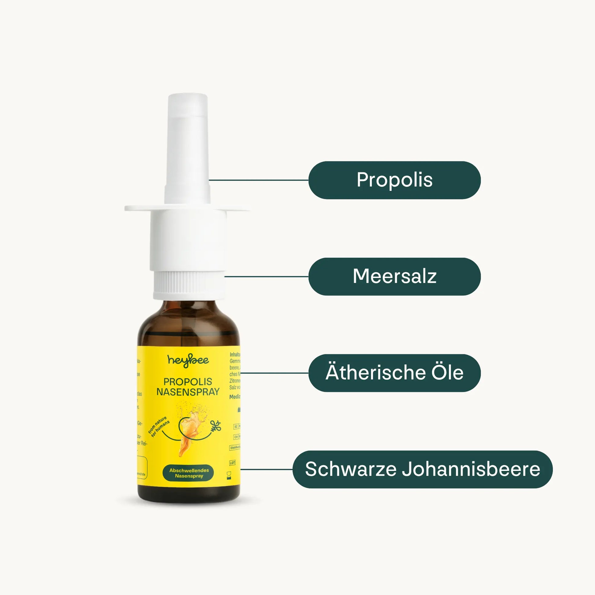 Pollen_Support_Set - heybee