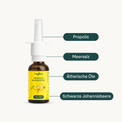 Pollen_Support_Set - heybee