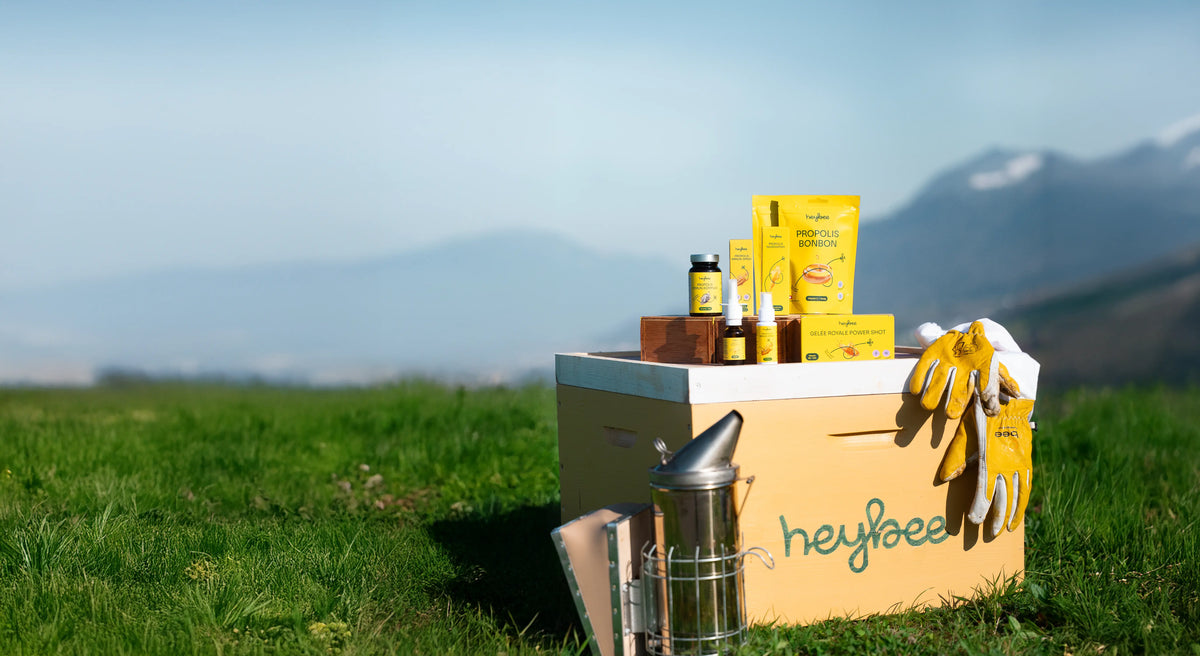 Heybee Metadesign Über uns | heybee