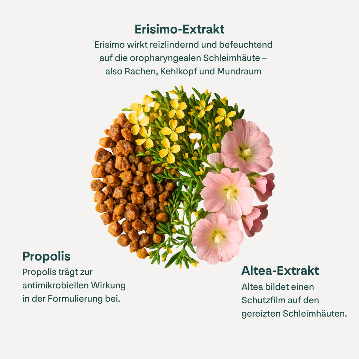 Propolis Halsspray+ - heybee