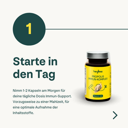 heybee Starter-Set