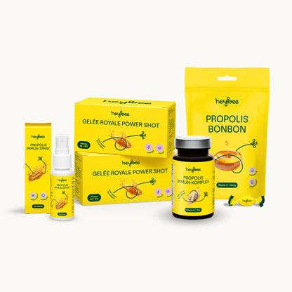 heybee Starter-Set