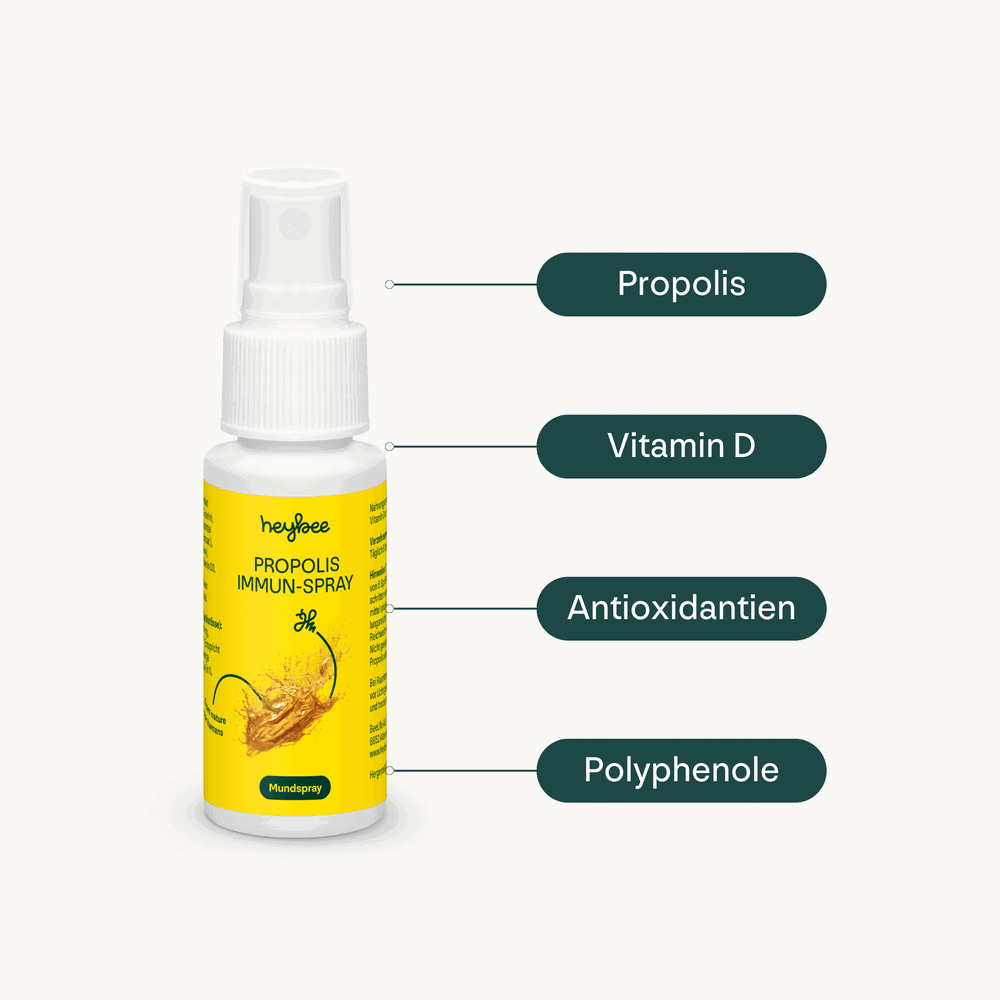 Heybee Metadesign Jetzt online unser heybee Starter-Set kaufen | heybee